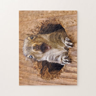 Schoenen eekhoorn legpuzzel