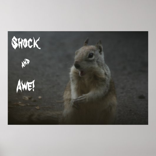 Schok en Awe! Poster (Voorkant)