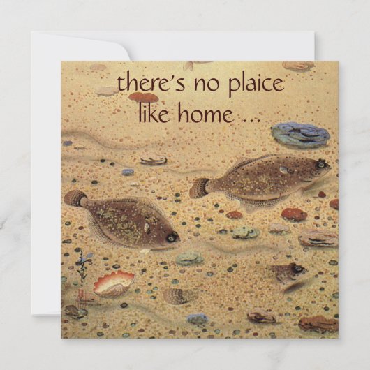  Schol Vis, Grappig Housewarming Party Kaart (Voorkant)