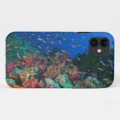 Scholende Fairy Basslets (Pseudanthias Case-Mate iPhone Case (Achterkant (horizontaal))