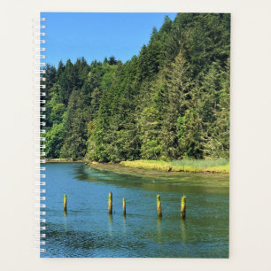 Scholfield Creek, Reedsport, Oregon