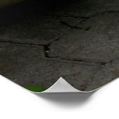 Scholieren, UC Davis School of Arts Poster (Hoek)