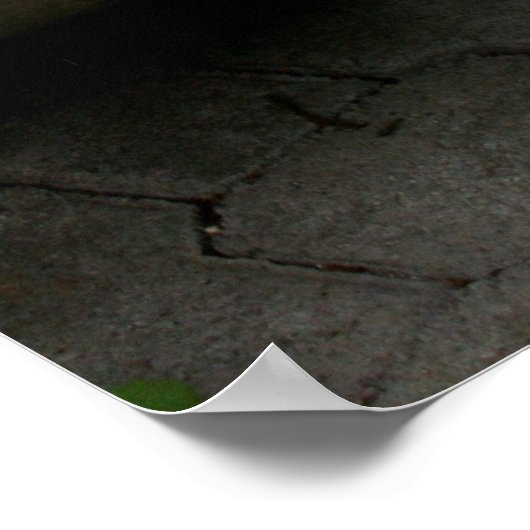 Scholieren, UC Davis School of Arts Poster (Hoek)