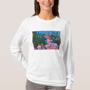 scholing Fairy Basslets (Pseudanthias T-shirt
