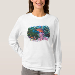 scholing Fairy Basslets (Pseudanthias T-shirt