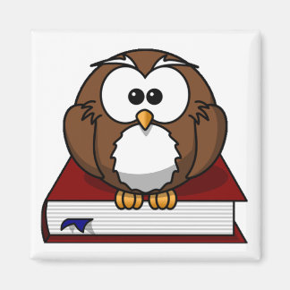 Schollast Owl Magneet