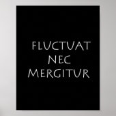 Schommelingen in nec mergitur poster (Voorkant)