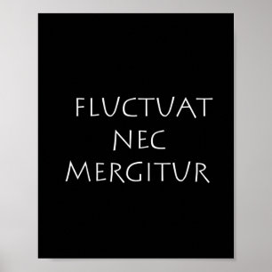 Schommelingen in nec mergitur poster