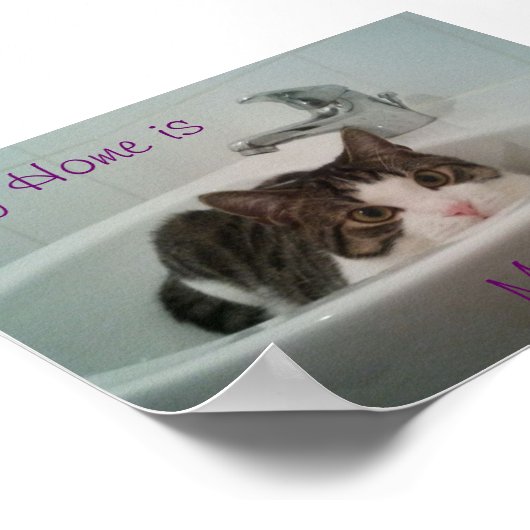 Schone kat poster (Hoek)