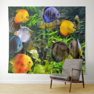 SCHONE VIS FOTO-ACHTERGROND WANDKLEED
