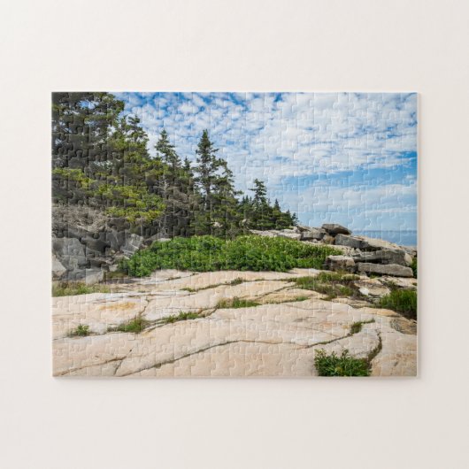 Schoodic Point in Acadia National Park Legpuzzel (Horizontaal)