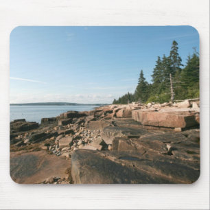 Schoodic West Shore Muismat
