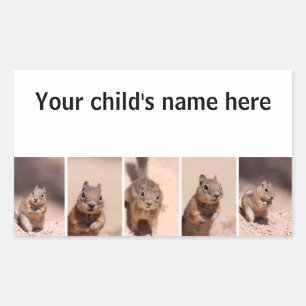 School Boek Stickers Chipmunk Eekhoorn