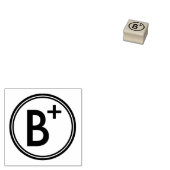 SCHOOL LERAAR GRADING ALFABETISCH 	RUBBERSTEMPEL (Gestempeld)