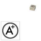 SCHOOL LERAAR GRADING ALFABETISCH 	RUBBERSTEMPEL (Gestempeld)