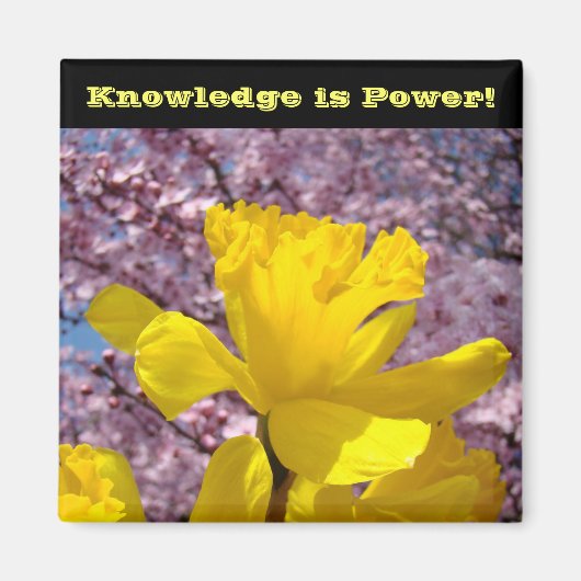 School Locker magneten Kennis is Macht! (Voorkant)