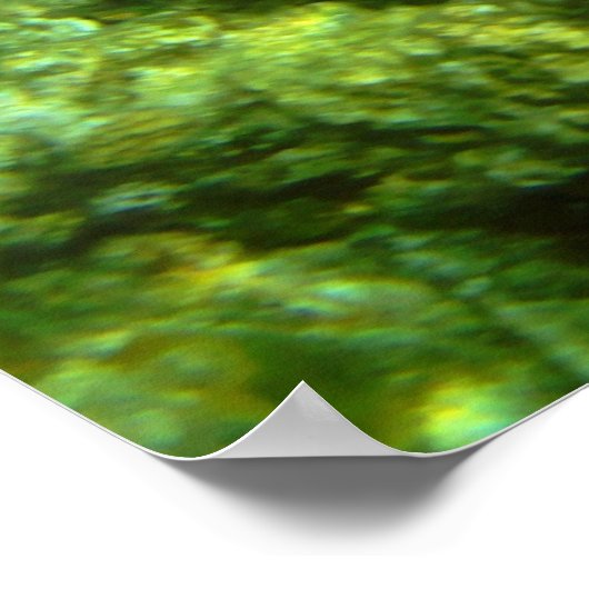 School of Blue Tang Poster (Hoek)