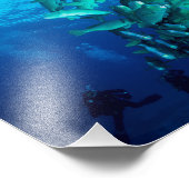 "School of Bumphead Parrot Fish" Photo Imprimer (Coin)