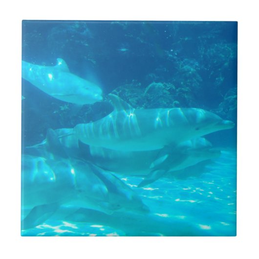 School of Dolphins Tile Tegeltje (Voorkant)