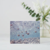 School of Fish 3 Briefkaart (Staand voorkant)