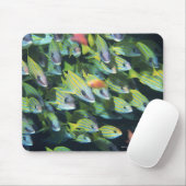 School of Fish 7 Muismat (Met muis)