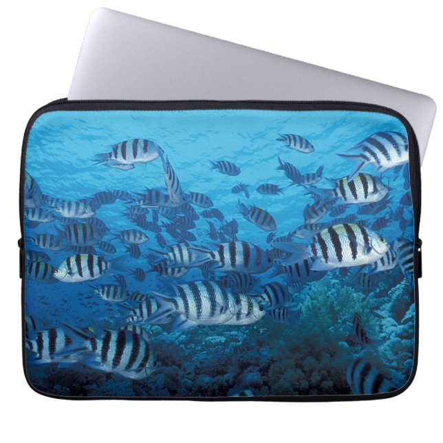 School van Gestreepte Vis Laptop Sleeve (Voorkant)