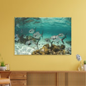 School van Permit vissen Canvas Afdruk (Insitu (Woonkamer))