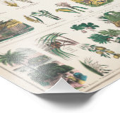  Schoolcursus Botanische Onderwijs 1890 Foto Afdruk (Hoek)