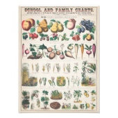  Schoolcursus Botanische Onderwijs 1890 Foto Afdruk (Voorkant)