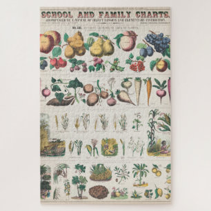  Schoolcursus Botanische Onderwijs 1890 Legpuzzel