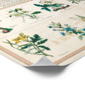  Schoolkaart voor Homeschooling Poster (Hoek)