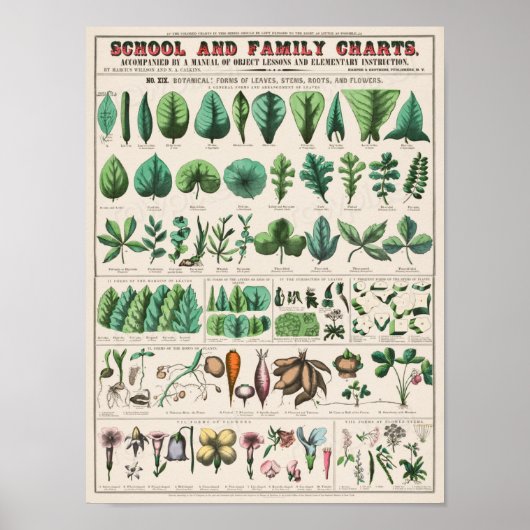  Schoolkaart voor Homeschooling Poster (Voorkant)