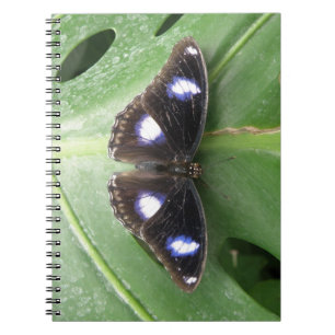 Schoon Blauw Gevlekt Vlinder Notitieboek