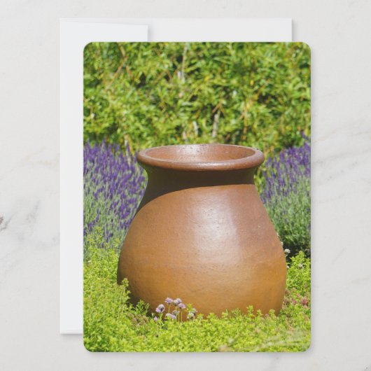Schoon decoratieve pot (Voorkant)