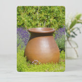 Schoon decoratieve pot (Staand voorkant)