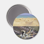 Schoon of Vuil? GDI! Magneet (Voorkant / Achterkant)