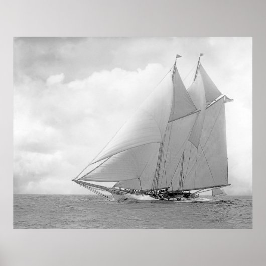 Schooner Yacht America Poster (Voorkant)