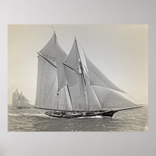 Schooner Yacht Fortuna Poster (Voorkant)