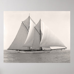 Schooner Yacht Merlin Poster
