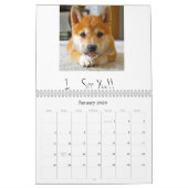 schoonheid-de-labrador-terugwinning_42196_2010-02- kalender (Jan 2026)