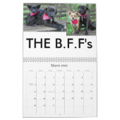 schoonheid-de-labrador-terugwinning_42196_2010-02- kalender (Mar 2026)