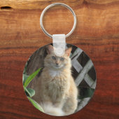 Schoonheid - De zwerfkat - Sleutelhanger (Voorkant)