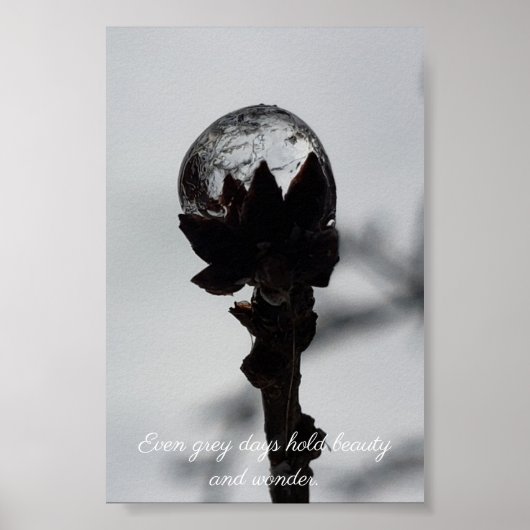 Schoonheid en wonder bevroren regendruppels poster (Voorkant)