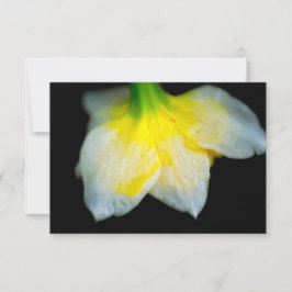 Schoonheid eronder bedankkaart