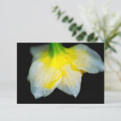 Schoonheid eronder bedankkaart (Staand voorkant)