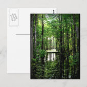 Schoonheid in de Marsh Briefkaart (Voorkant / Achterkant)