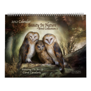 Schoonheid in Natuur - de Kalender 2012 van het