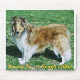 Schoonheid is… Een ruwe collie Muismat