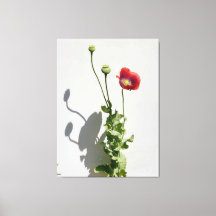 Schoonheid is ook het Beest.