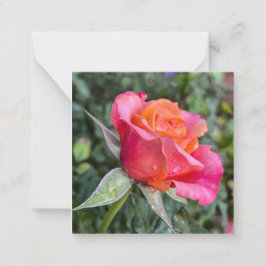 Schoonheid Notitiekaartje